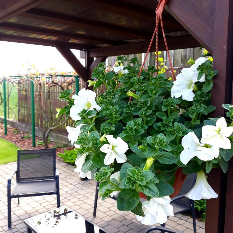 Zielone Zacisze Villa Uniejow Bagian luar foto