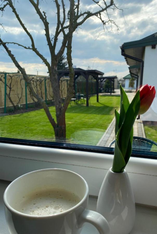 Zielone Zacisze Villa Uniejow Bagian luar foto