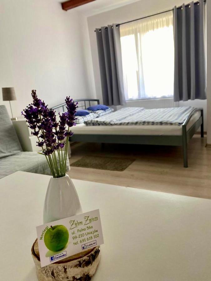 Zielone Zacisze Villa Uniejow Bagian luar foto