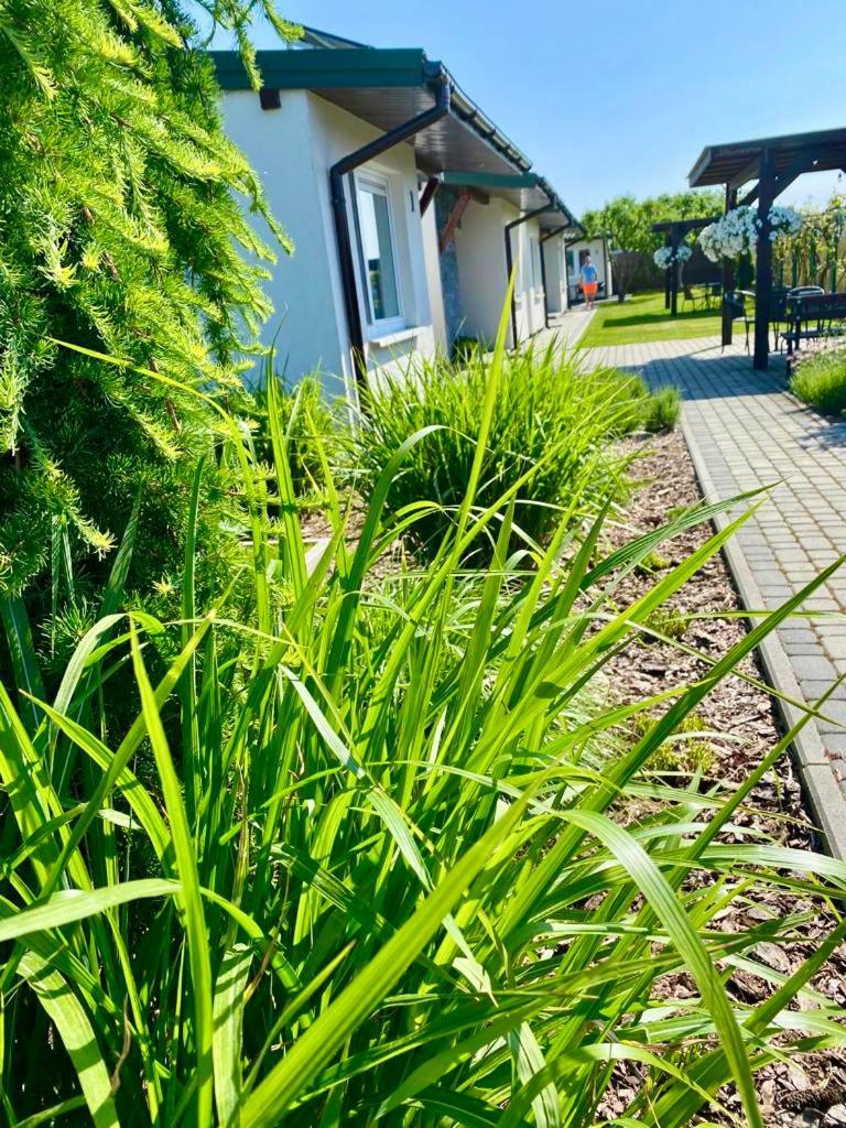 Zielone Zacisze Villa Uniejow Bagian luar foto