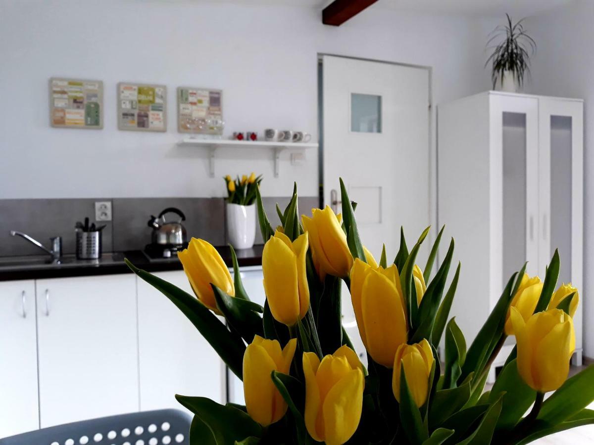 Zielone Zacisze Villa Uniejow Bagian luar foto