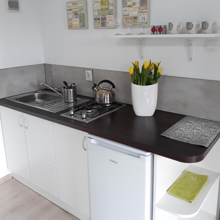 Zielone Zacisze Villa Uniejow Bagian luar foto